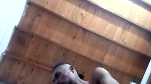 Snapshot of tnptlhvgyqcy chatting on 11-01-25, 05:20 DESTROY.S online show from 11-01-25, 05:20