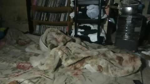 small man online show from 06-23-26, 02:04