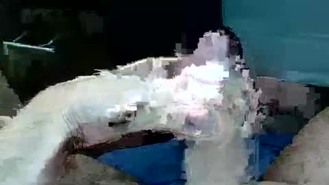 tom4yourself online show from 05-29-26, 06:17
