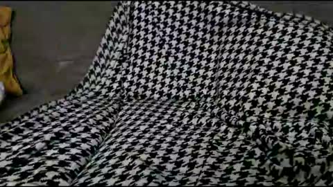 Bima online show from 09-24-25, 08:45