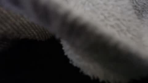 Snapshot of tommy_c0rtez chatting on 02-12-25, 01:30 Thomas online show from 02-12-25, 01:30