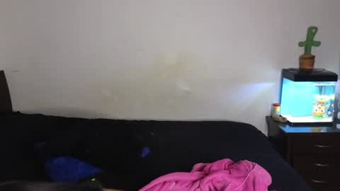 Snapshot of tony_and_sophia chatting on 07-07-26, 12:02 Sophia Tony online show from 07-07-26, 12:02