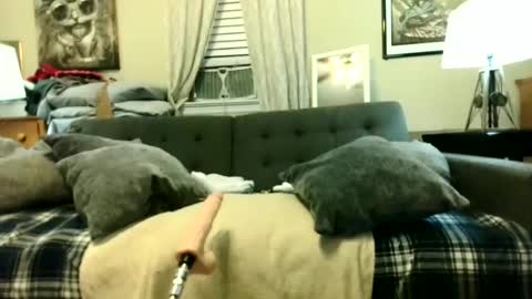 Tony Luv    Fuck Machine  online show from 06-18-26, 10:19