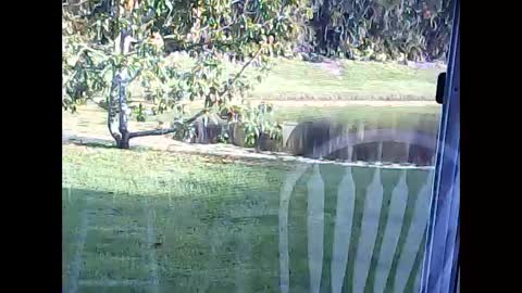 tonymcfly99 online show from 02-21-25, 09:43