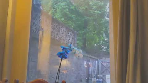 toohorny3210 online show from 06-16-26, 08:11