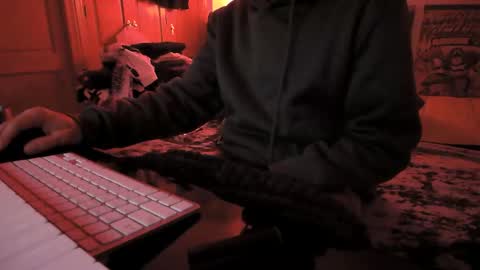 Torosko online show from 11-29-25, 11:52