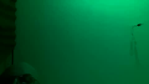 Snapshot of torrero_german chatting on 11-23-25, 03:17 MisterXxX online show from 11-23-25, 03:17