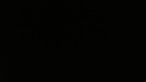 Snapshot of totoro_239 chatting on 03-24-26, 08:36 totoro_239 online show from 03-24-26, 08:36