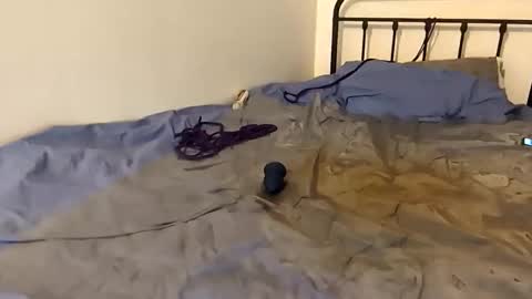 Snapshot of toxic2lust chatting on 03-04-26, 06:58 toxic2lust online show from 03-04-26, 06:58