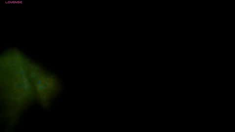 Snapshot of travisdiamonds chatting on 11-13-25, 07:13 TRAVIS. online show from 11-13-25, 07:13