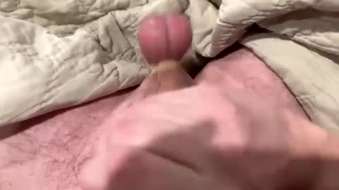 Snapshot of tree553 chatting on 01-13-25, 01:56 tree553 online show from 01-13-25, 01:56