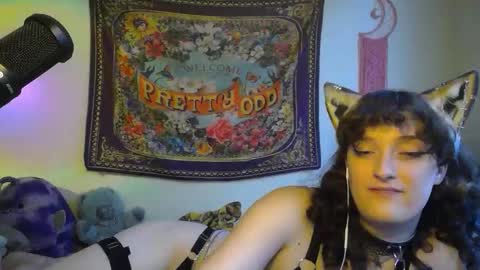 treecups online show from 09-23-25, 09:18