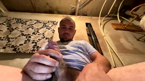 Snapshot of trees559 chatting on 03-17-26, 05:33 trees559 online show from 03-17-26, 05:33