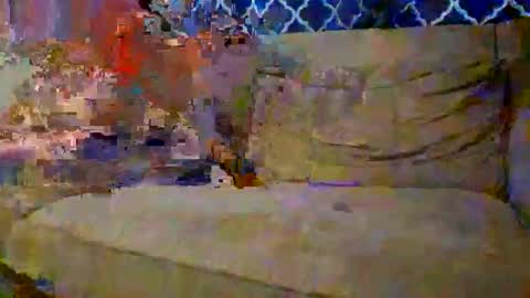 trex23rd online show from 12-02-25, 09:54