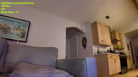 Snapshot of treyanthony chatting on 01-07-25, 12:24 decentanthony online show from 01-07-25, 12:24