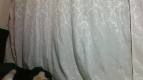 Snapshot of triana_bell chatting on 01-14-25, 02:40 triana_bell online show from 01-14-25, 02:40