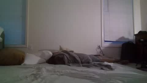 trickquestion online show from 02-08-25, 11:44