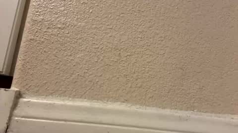 Snapshot of trickydick6 chatting on 03-10-26, 05:01 trickydick6 online show from 03-10-26, 05:01