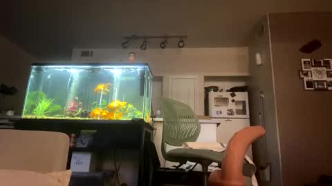 trickydick6 online show from 03-20-26, 08:35