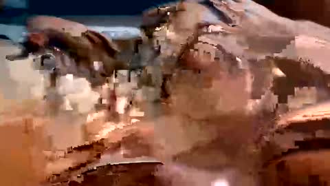 Snapshot of trigood chatting on 02-13-25, 02:01 trigood online show from 02-13-25, 02:01