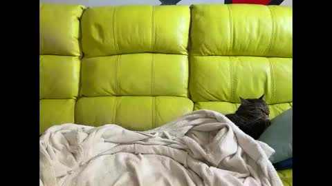 Ramiro online show from 04-03-26, 11:41