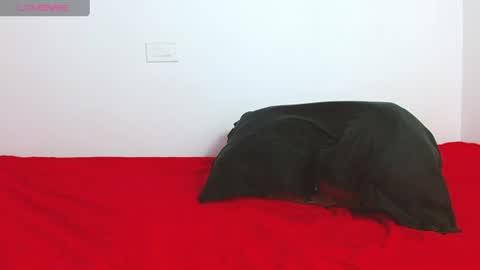 Snapshot of troy_walker7 chatting on 06-28-26, 06:03 sebas online show from 06-28-26, 06:03
