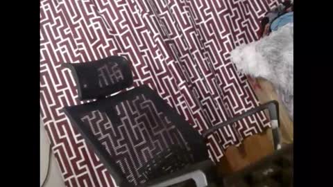 SARCY online show from 03-11-26, 11:33