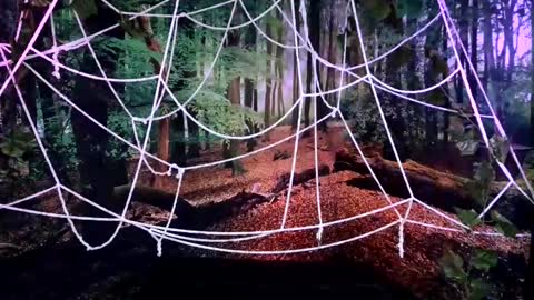 Snapshot of tsblondienyc chatting on 10-28-25, 08:00 Jessie online show from 10-28-25, 08:00