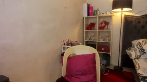 Snapshot of tsvanilla chatting on 01-23-25, 11:58 Frankie online show from 01-23-25, 11:58