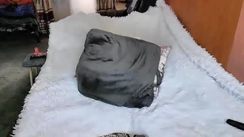 Lana online show from 03-11-25, 01:37