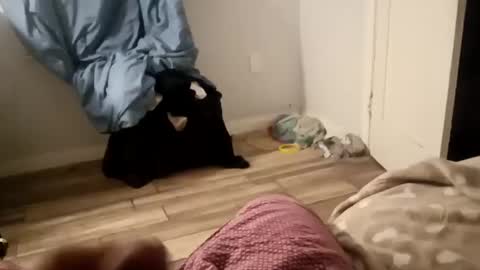 Snapshot of twest84 chatting on 09-14-25, 08:46 twest84 online show from 09-14-25, 08:46