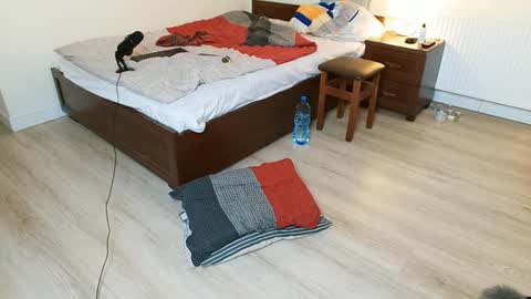 Vicky  Victor online show from 12-12-24, 03:54