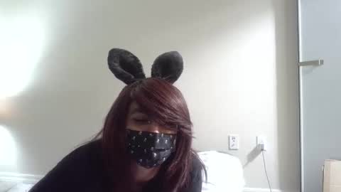 twinkyteddy online show from 10-08-25, 10:07