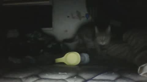 Snapshot of twonkydonk27 chatting on 12-13-25, 10:15 twonkydonk27 online show from 12-13-25, 10:15