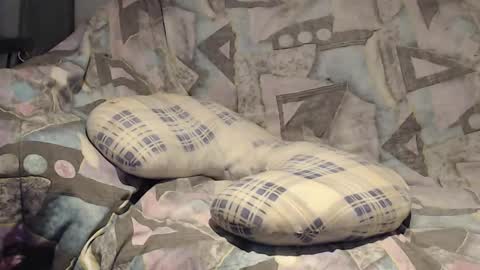 Snapshot of tyson2525 chatting on 11-09-25, 04:11 Helena and Tyson online show from 11-09-25, 04:11