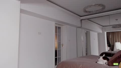 Silvia online show from 12-15-24, 05:42