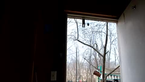 Snapshot of upforanything27 chatting on 12-25-24, 06:41 upforanything27 online show from 12-25-24, 06:41