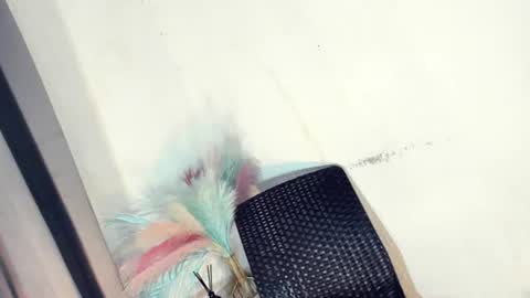 Snapshot of urasian_france69 chatting on 06-27-26, 12:22 FRANCINE cum with me in pvt or pwrd online show from 06-27-26, 12:22