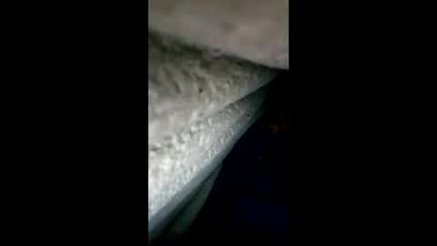 urdleqfaeaxf online show from 04-28-26, 04:12