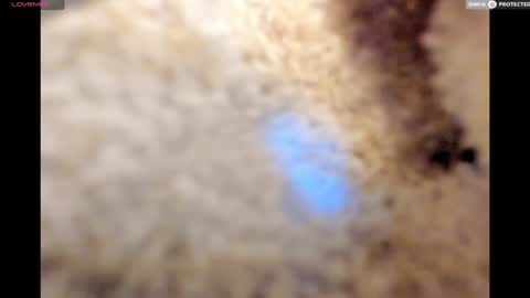 Snapshot of urnewdaddy90 chatting on 01-17-25, 11:18 Big Daddy online show from 01-17-25, 11:18