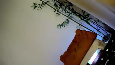 Snapshot of ursashafucker69 chatting on 12-03-24, 10:17 ursashafucker69 online show from 12-03-24, 10:17