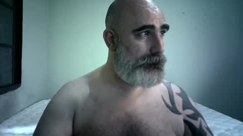 Urso1978BR online show from 12-01-25, 04:34