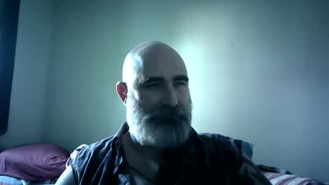 Urso1978BR online show from 12-05-25, 05:53