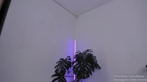    online show from 04-29-26, 05:55