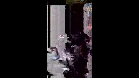 Snapshot of user18675309 chatting on 03-08-26, 11:30 user18675309 online show from 03-08-26, 11:30