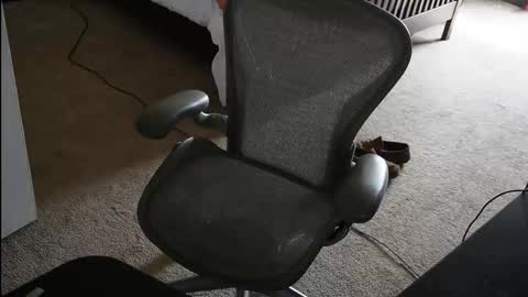 v_for_veng online show from 02-23-26, 05:54