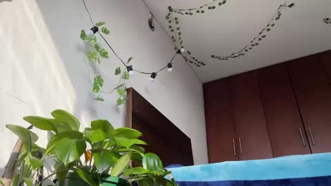 Snapshot of valent1nn chatting on 03-11-25, 12:39 Valentin independent Cam Boy online show from 03-11-25, 12:39