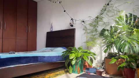 Snapshot of valent1nn chatting on 02-08-26, 01:47 Valentin independent Cam Boy online show from 02-08-26, 01:47