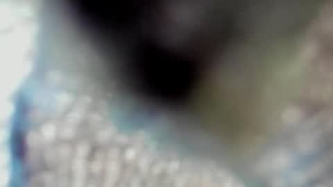 Snapshot of valeri_tafur chatting on 10-13-25, 10:59 valeri_tafur online show from 10-13-25, 10:59