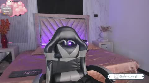 Snapshot of valery_wang chatting on 11-06-25, 11:44 Val online show from 11-06-25, 11:44